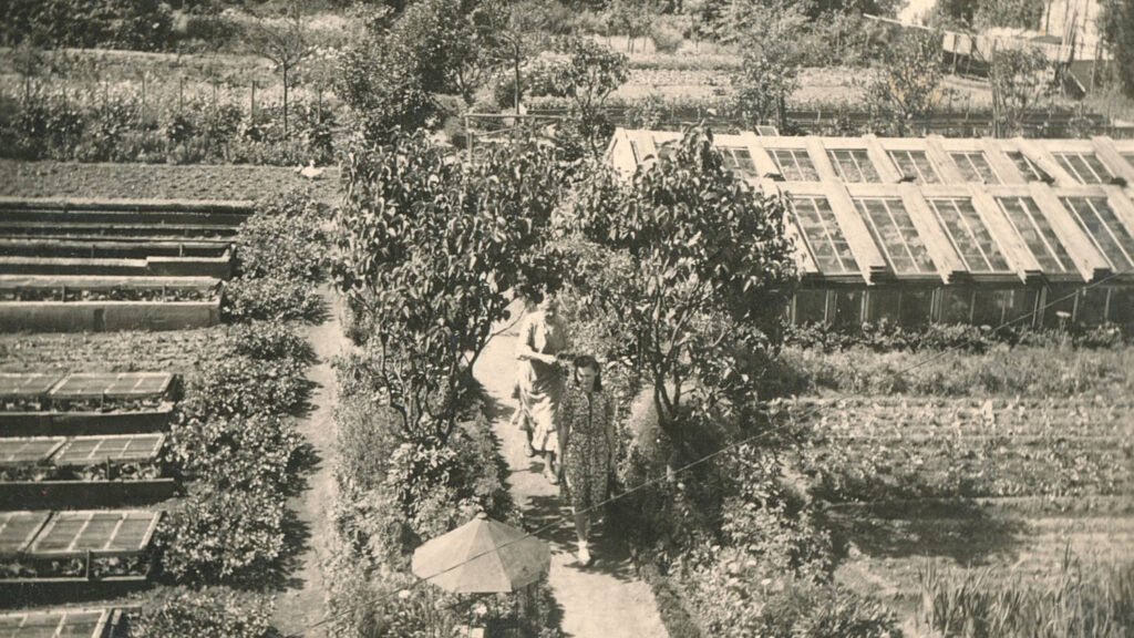Historická fotografie Krafferovo zahradnictví